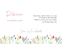 Birthday Invitation Template 041 design preview